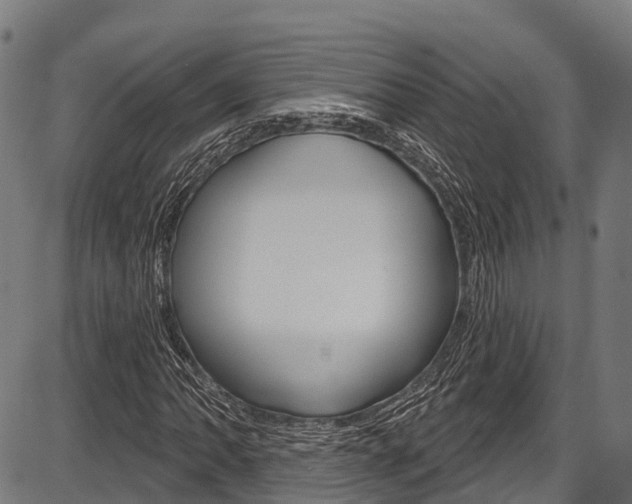 X0000087591062200704271104