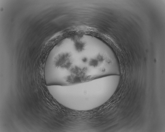X0000087591063200704271104