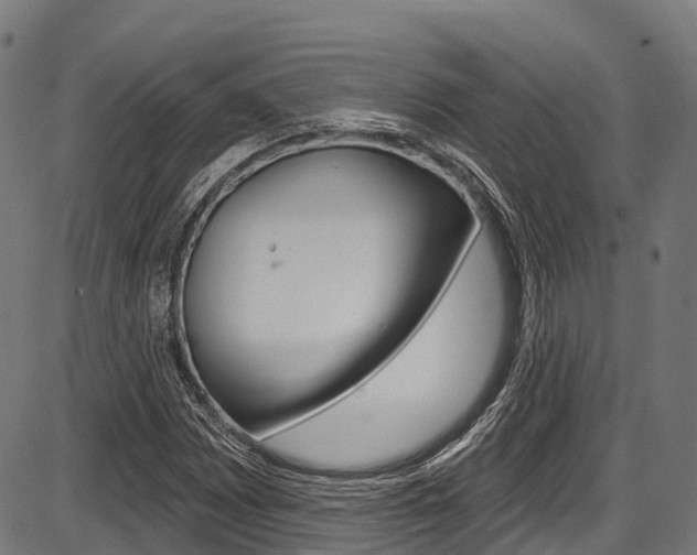 X0000087591065200704271104