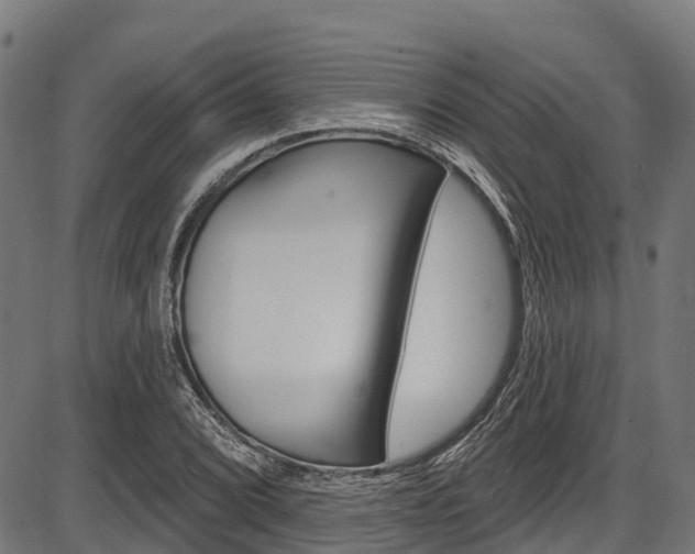 X0000087591072200704271104