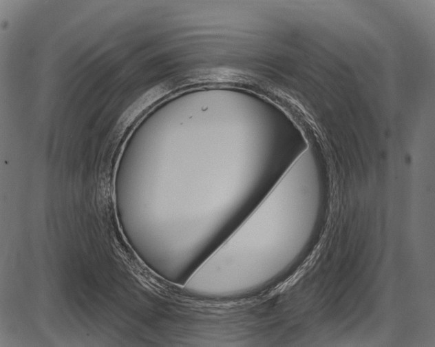 X0000087591073200704271104