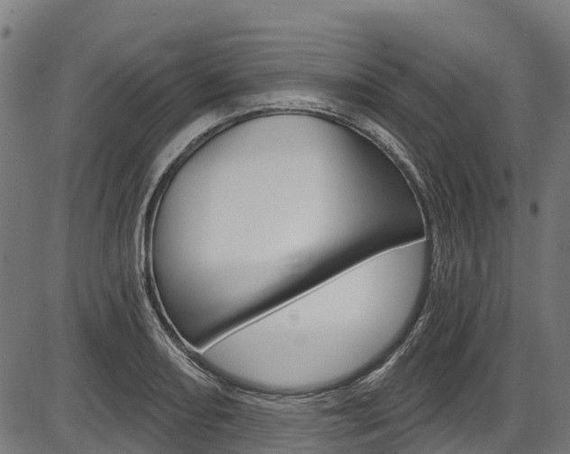 X0000087591082200704271104