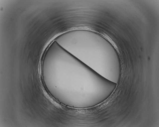 X0000087591084200704271104