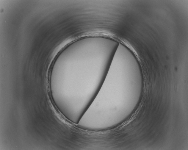X0000087591087200704271104