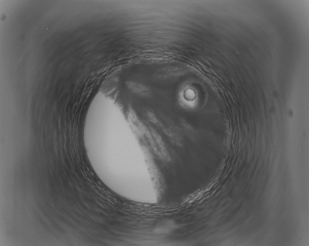 X0000087591106200704271103