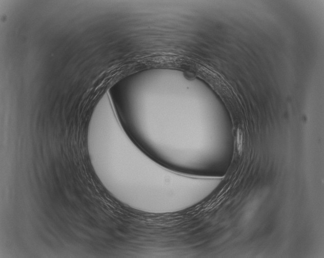 X0000087591107200704271103
