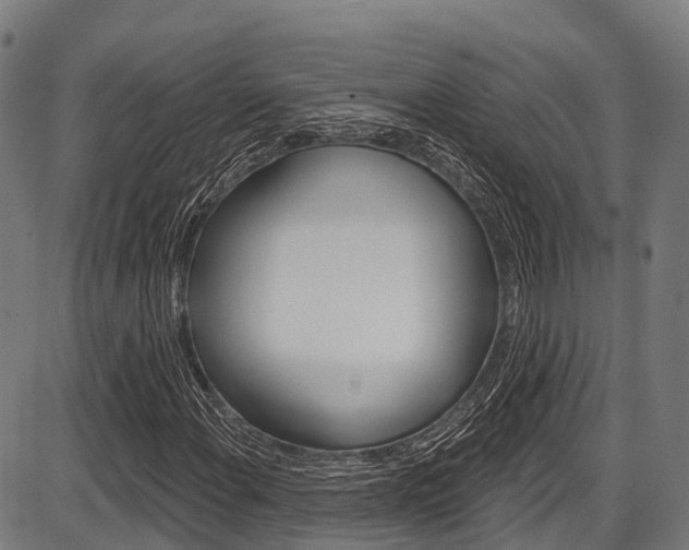 X0000087591108200704271103