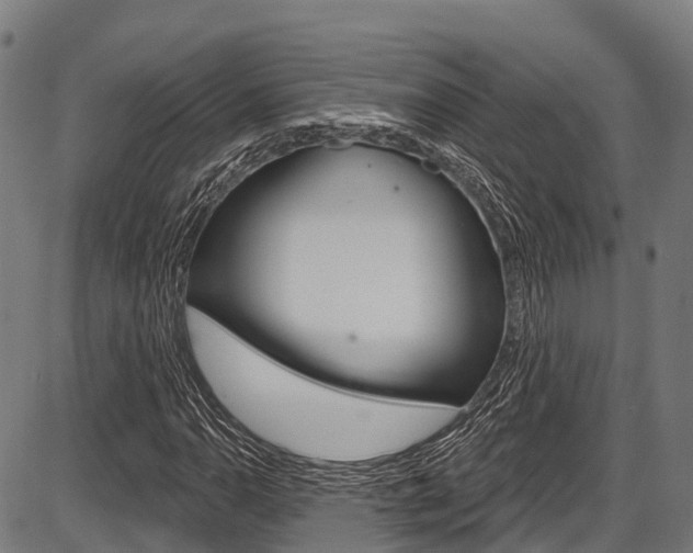 X0000087591110200704271103