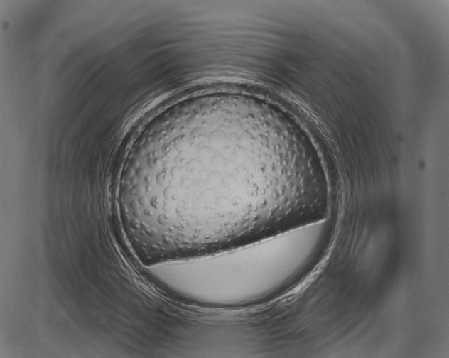 X0000087591113200704271103