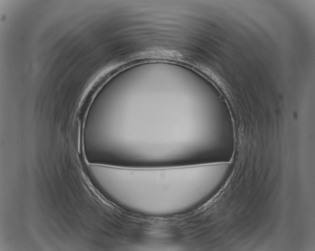 X0000087591123200704271103