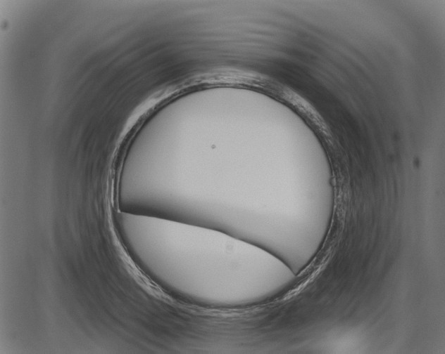 X0000087591130200704271103
