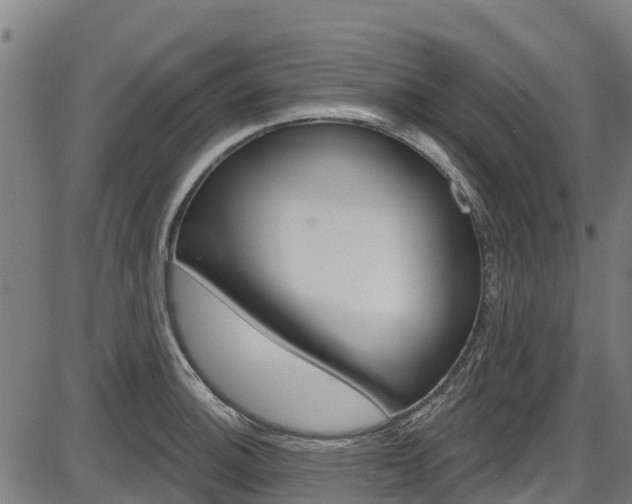 X0000087591140200704271104