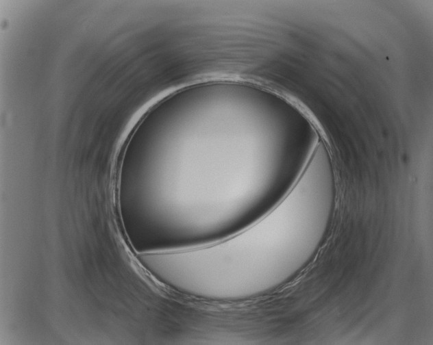 X0000087591148200704271104