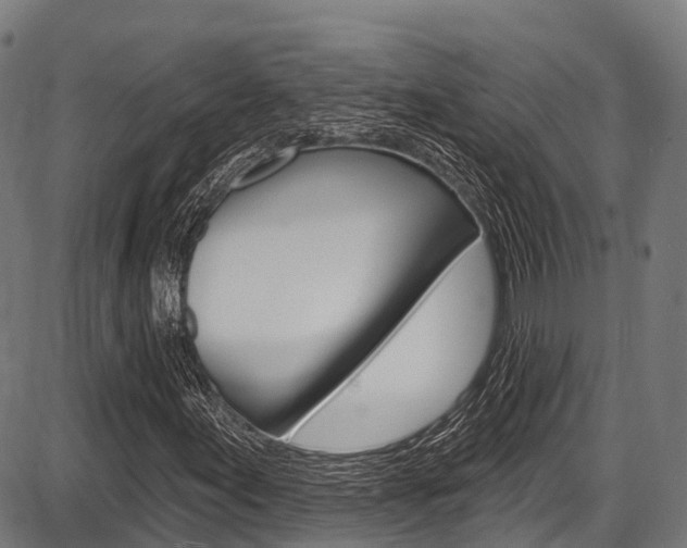 X0000087591155200704271103