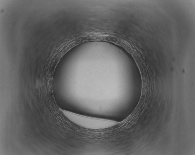 X0000087591157200704271103