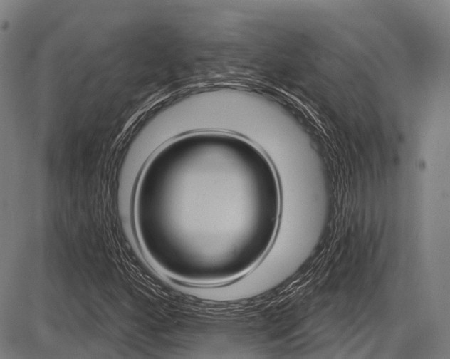 X0000087591160200704271103