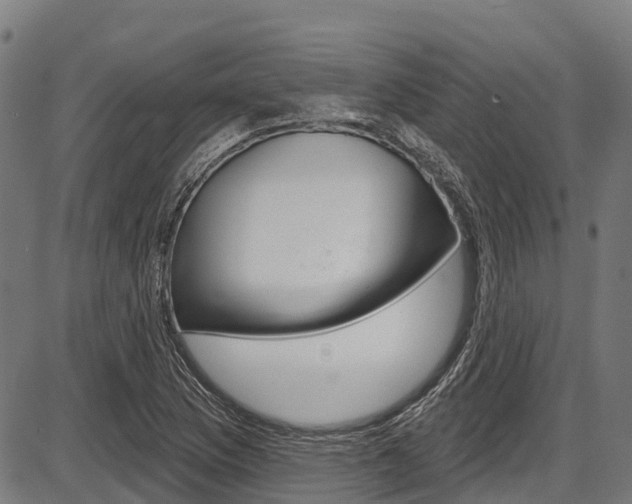 X0000087591169200704271103