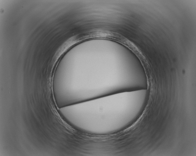X0000087591178200704271103