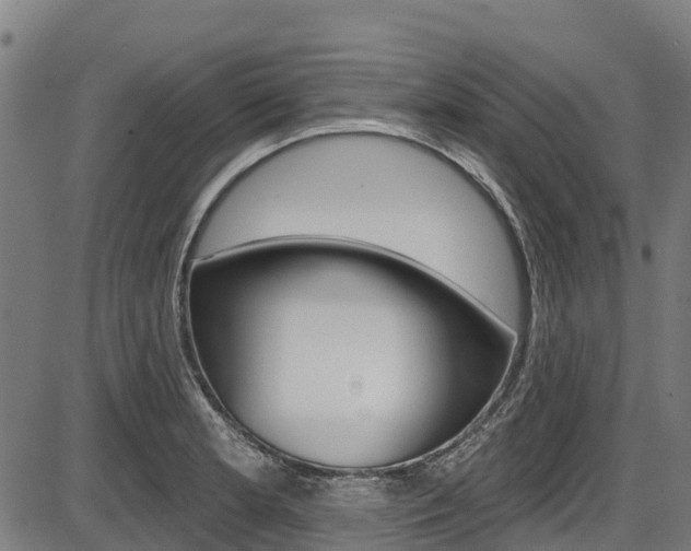 X0000087591181200704271102