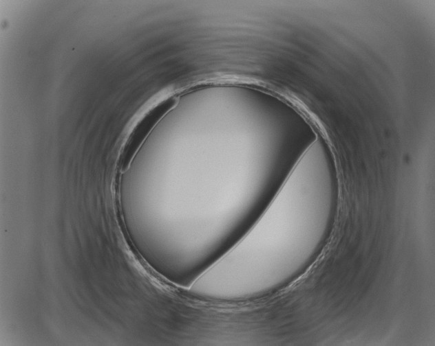 X0000087591189200704271102