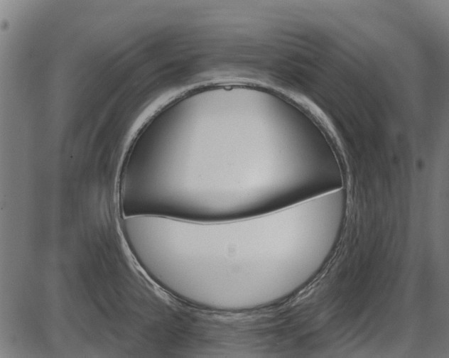 X0000087591191200704271102