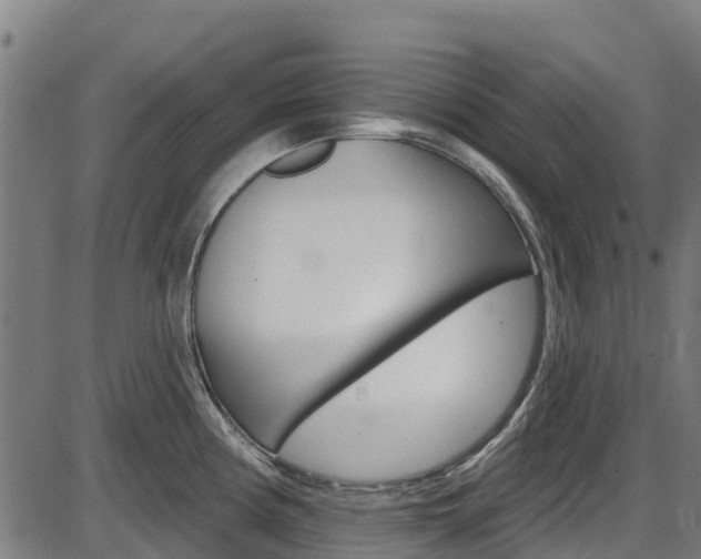 X0000087591194200704271102
