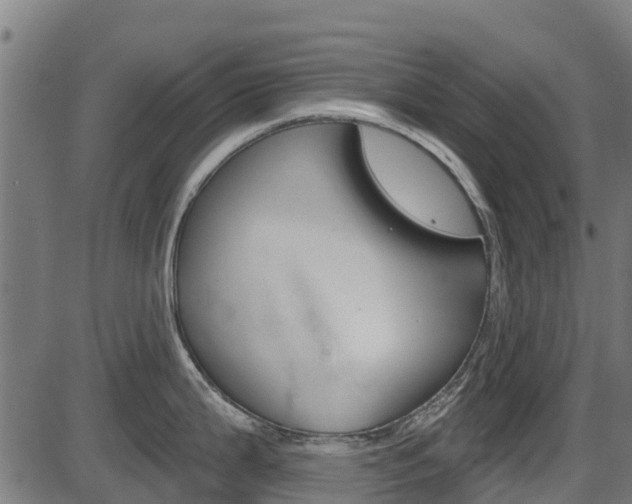 X0000087591199200704271102