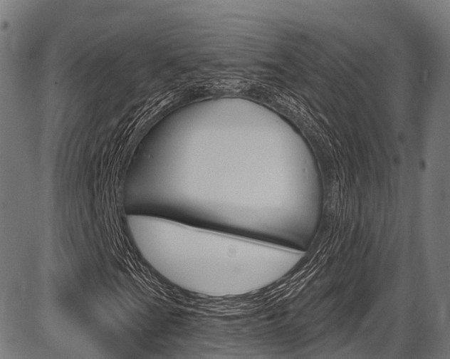 X0000087591201200704271101