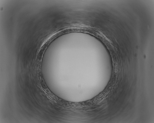 X0000087591208200704271102