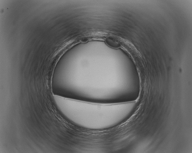 X0000087591209200704271102