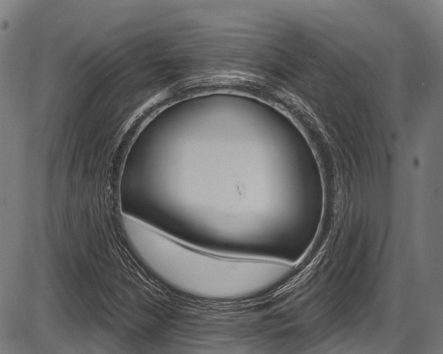 X0000087591210200704271102