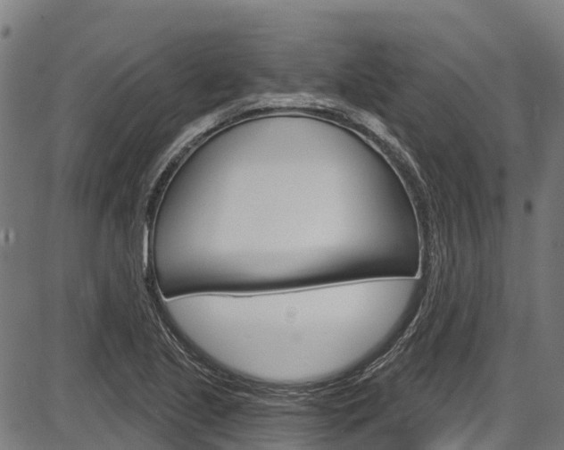 X0000087591221200704271102