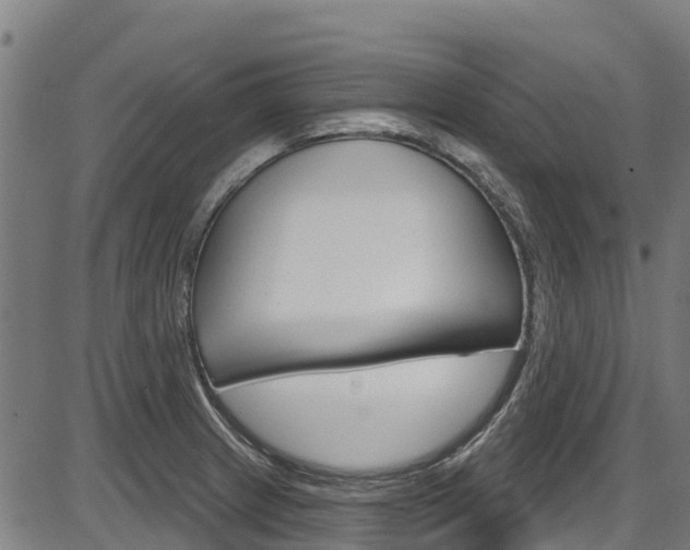 X0000087591233200704271102
