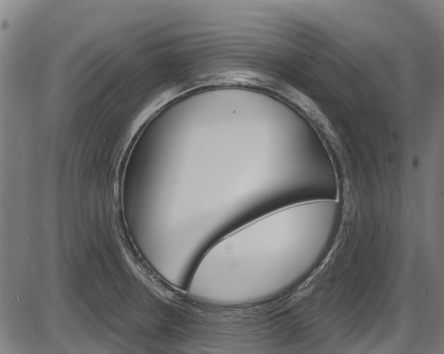 X0000087591234200704271102