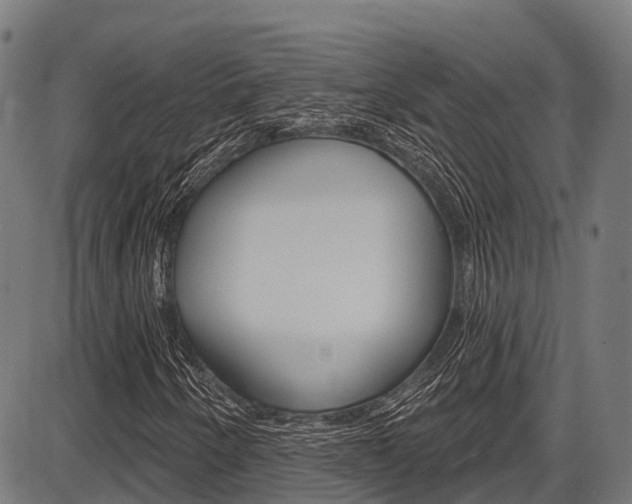 X0000087591250200704271101