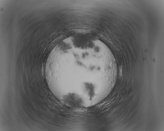 X0000087591251200704271101