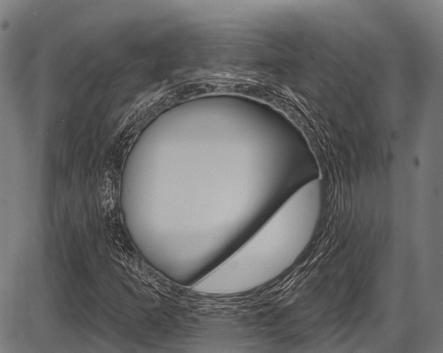X0000087591253200704271101