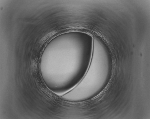 X0000087591257200704271101