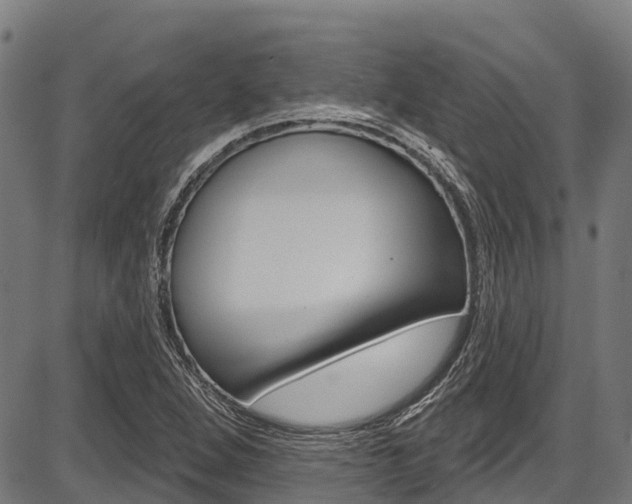 X0000087591264200704271101