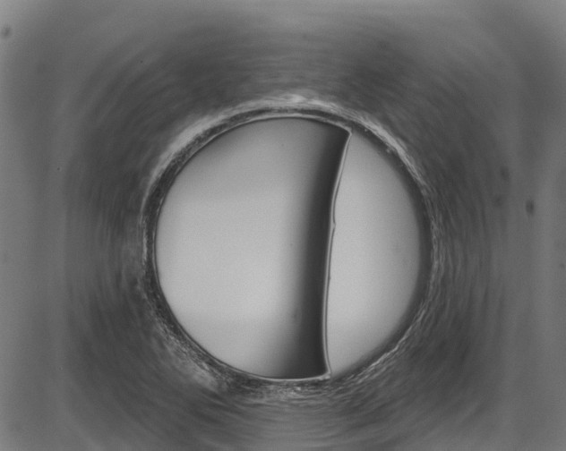 X0000087591270200704271101