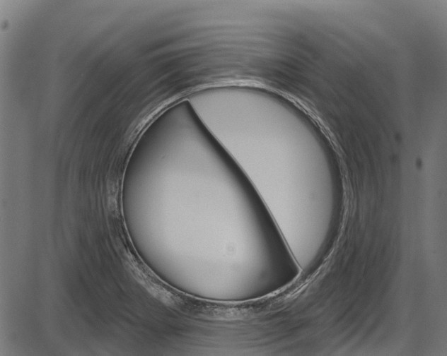 X0000087591273200704271101