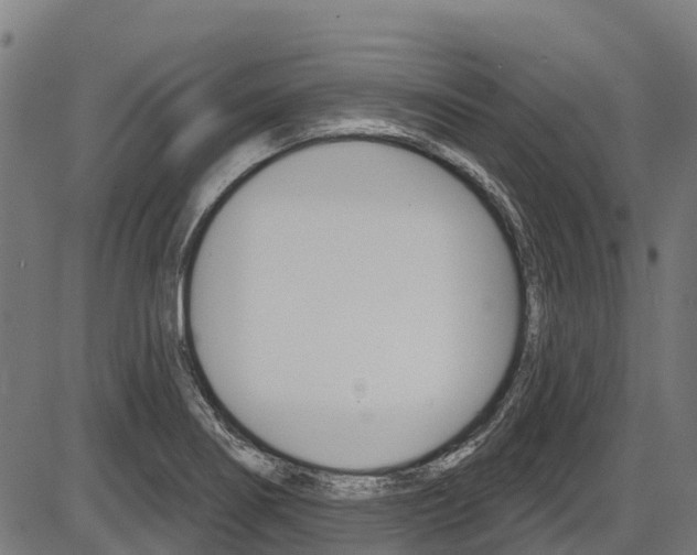 X0000087591274200704271101