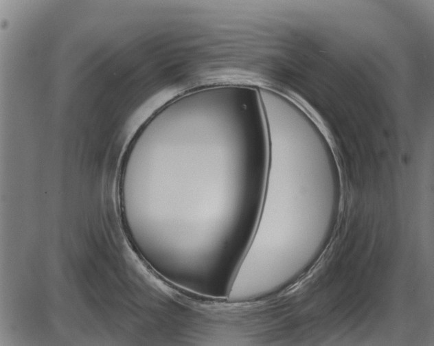 X0000087591293200704271101