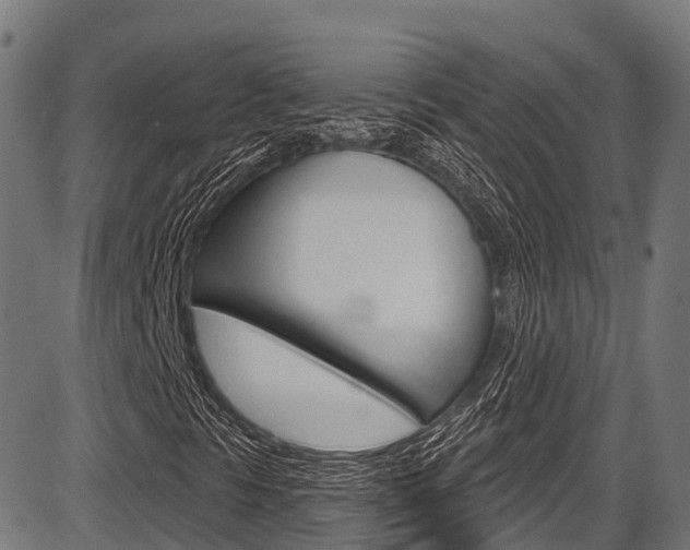 X0000087591297200704271100
