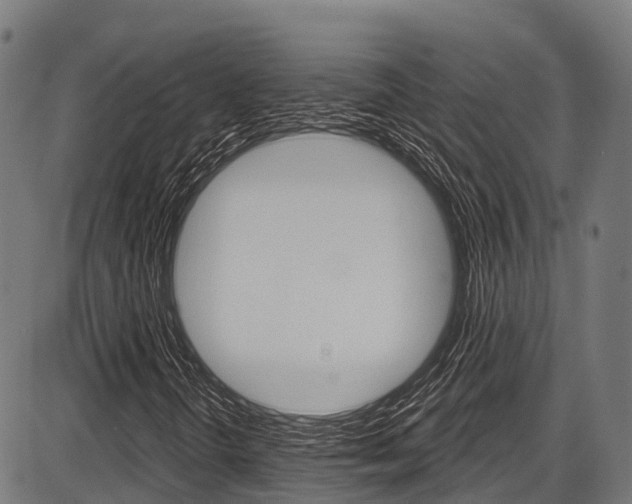 X0000087591298200704271100
