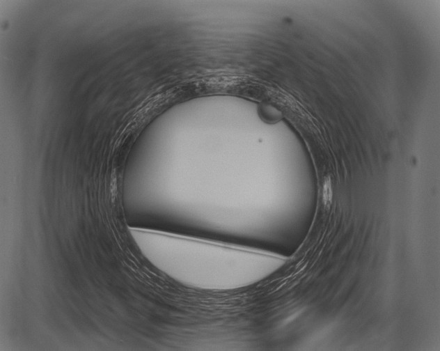 X0000087591299200704271100