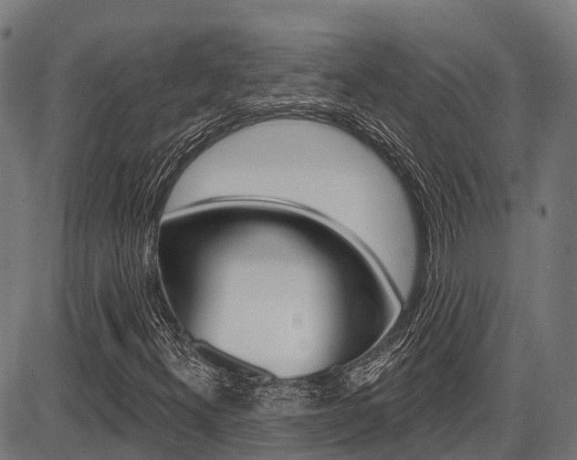X0000087591300200704271100