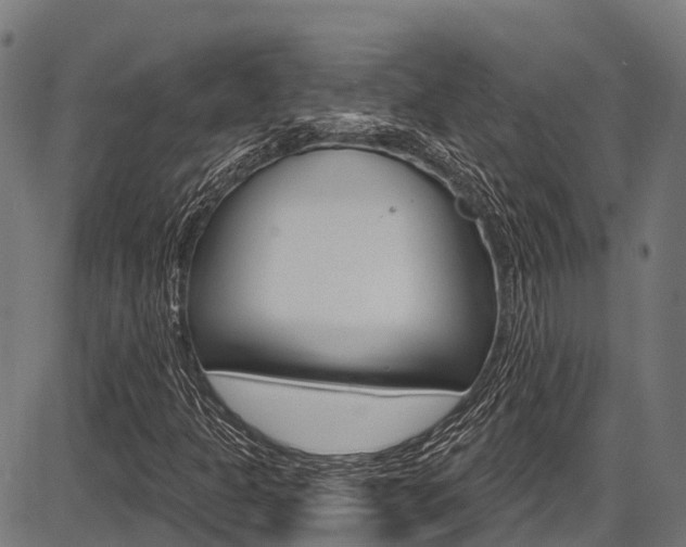 X0000087591301200704271100