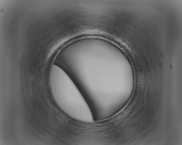 X0000087591311200704271100