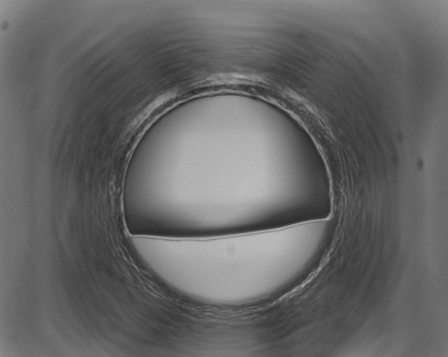 X0000087591313200704271100